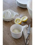 China Lemon Squeezer CC Interiors