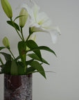 Bloom Vase | Rosso