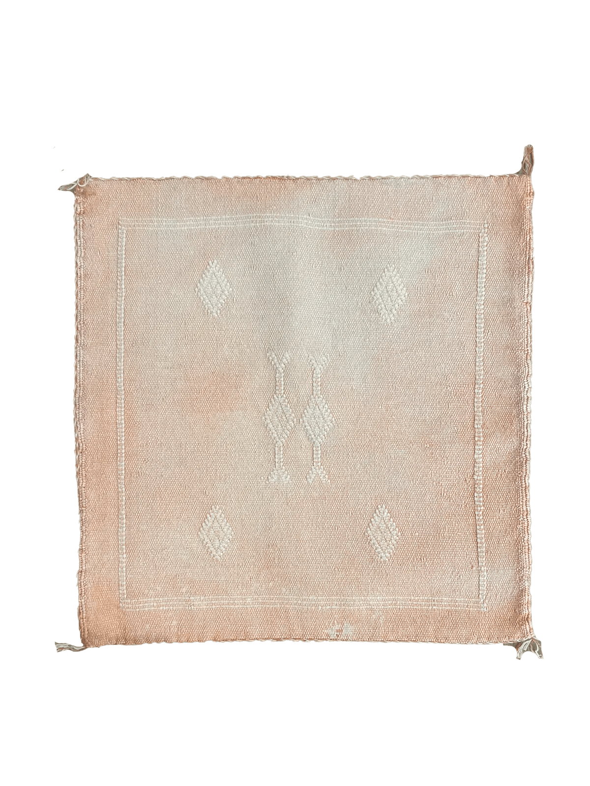 Desert Peach Cactus Silk Cushion Aztec House