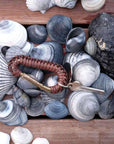 Explorer Keychain Merchants and Traders by Sibella Court Pty Ltd