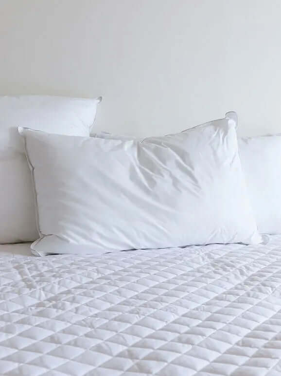 Feather & Down Pillow Inner Città