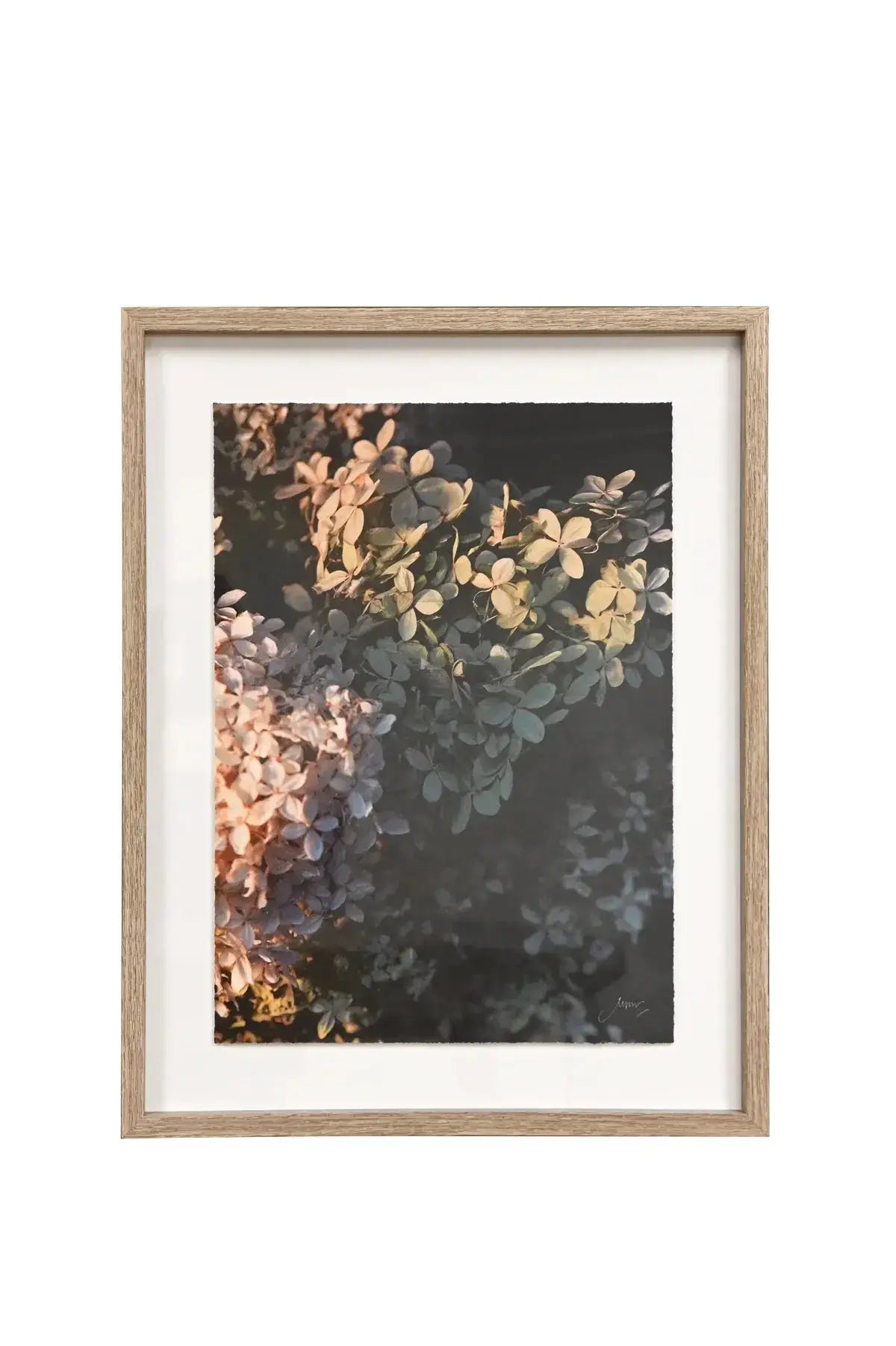 Framed Wall Art - Hydrangeas May Time