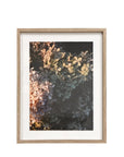Framed Wall Art - Hydrangeas May Time