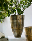 Hammered Stripe Brass Pot Marmaduke Shoppe