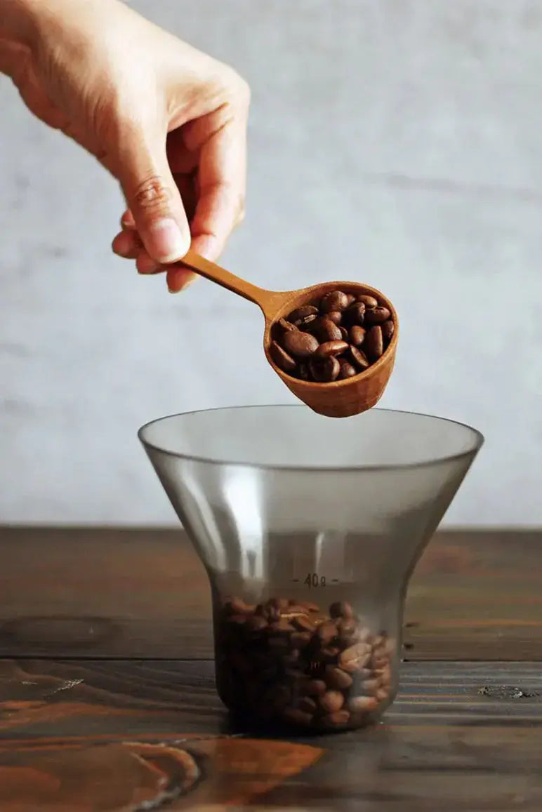 Kinto SCS Coffee Measuring Spoon Telegram Co