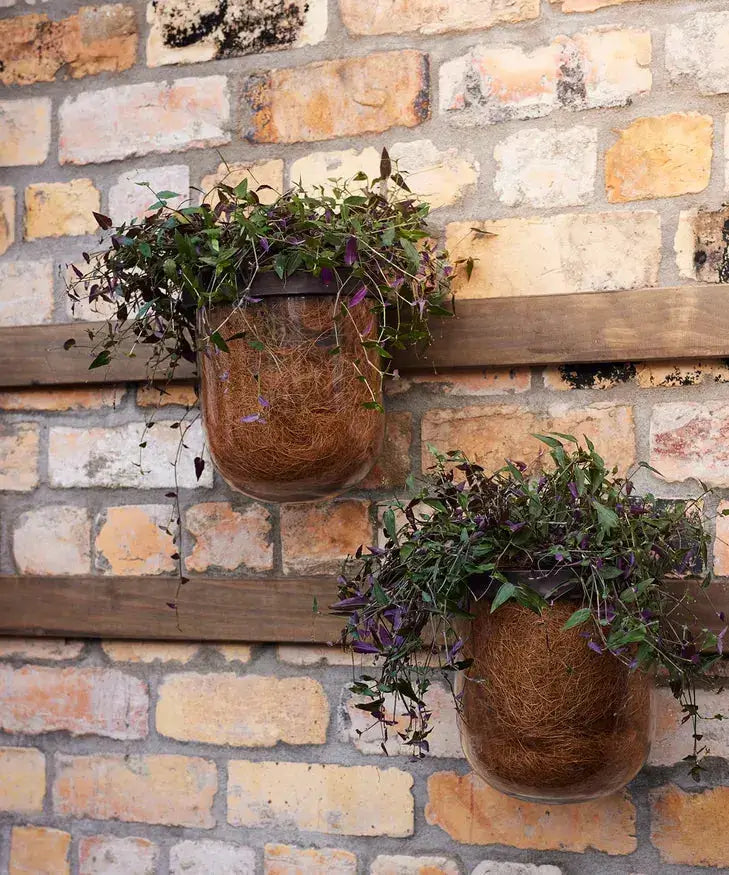 Luca Hurricane Wall Sconce French Country Collections