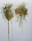 Rebecca Smallridge Print Rebecca Smallridge Art