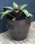 Sahar Lotus Large Iron Planter Hawthorne Group