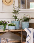 Sea Blue Plant Pot French Country Collections