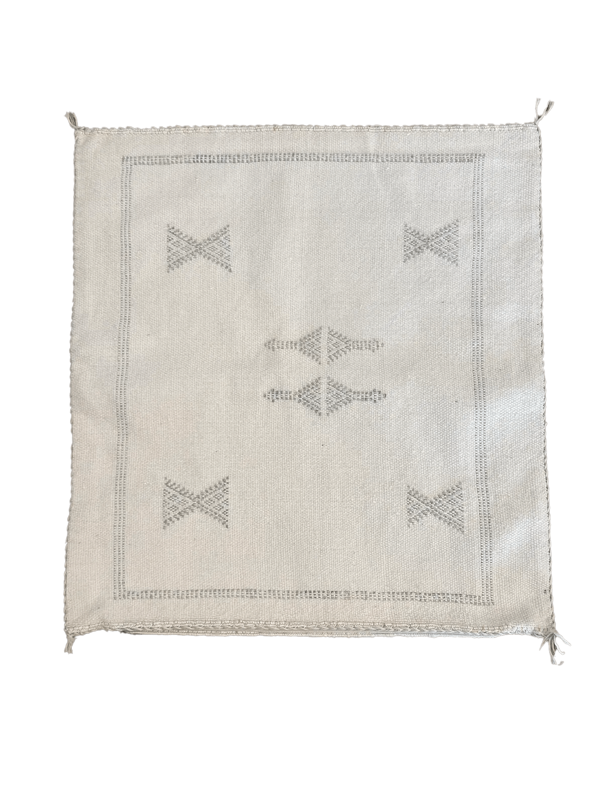 Snow & Grey Cactus Silk Cushion Aztec House