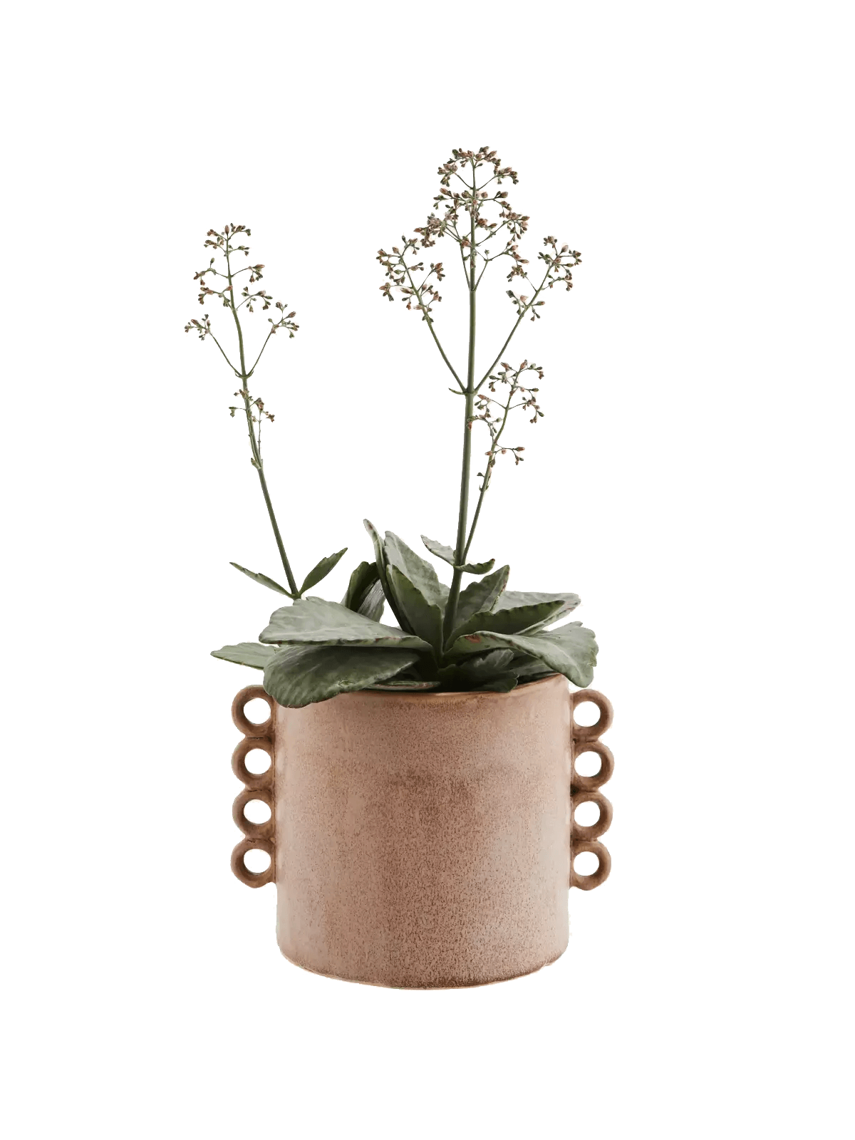 Stoneware Flower Pot w/rRuffles Wooden Horse