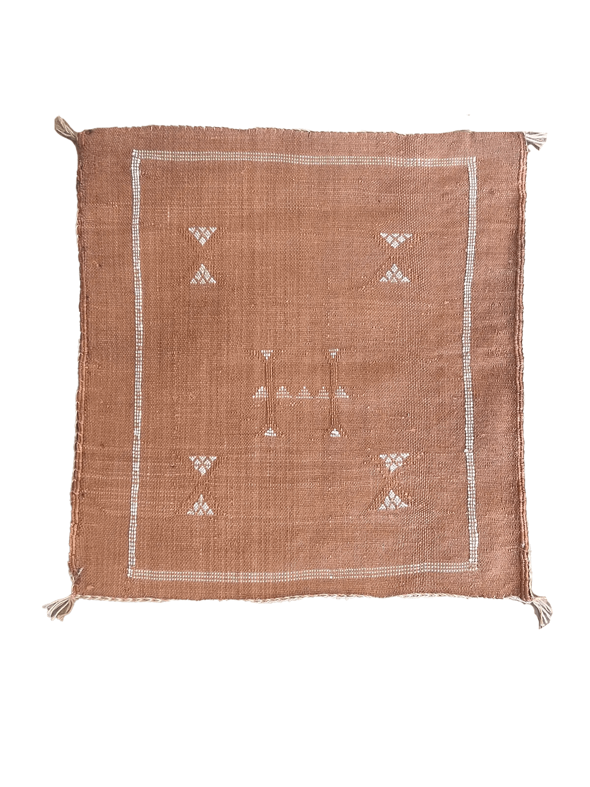 Tangerine Cactus Silk Cushion Aztec House