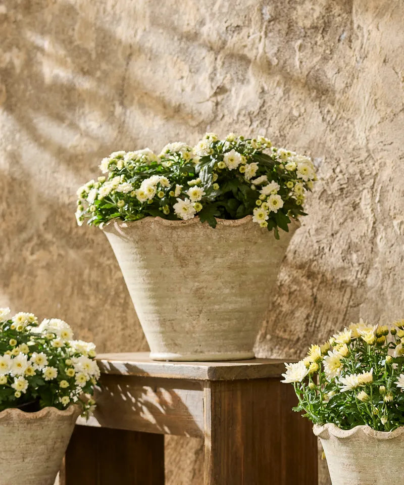 Wavy Planter Pot