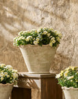 Wavy Planter Pot