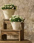 Wavy Planter Pot