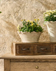 Wavy Planter Bowl