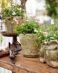 Celadon Herb Planter