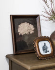 Hydrangea Wall Art