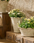 Wavy Planter Vase