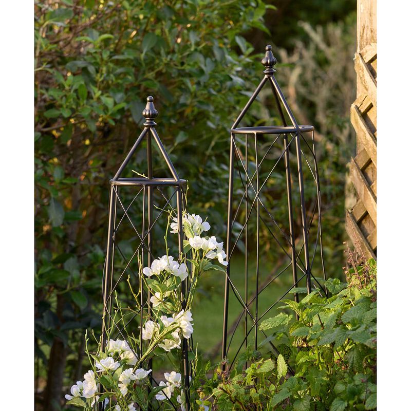 Ivy Plant Trellis | Brown