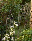 Ivy Plant Trellis | Brown