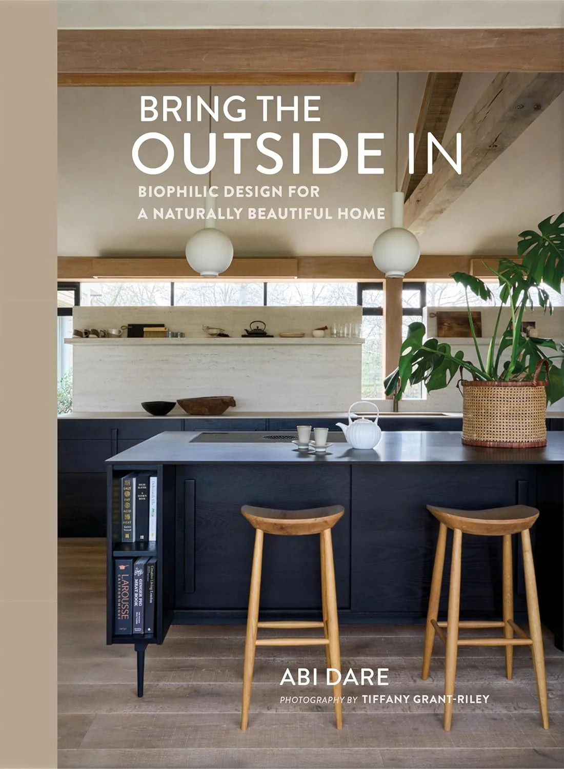 Bring the Outside In | Abi Dare