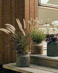 Uma Planter | Small