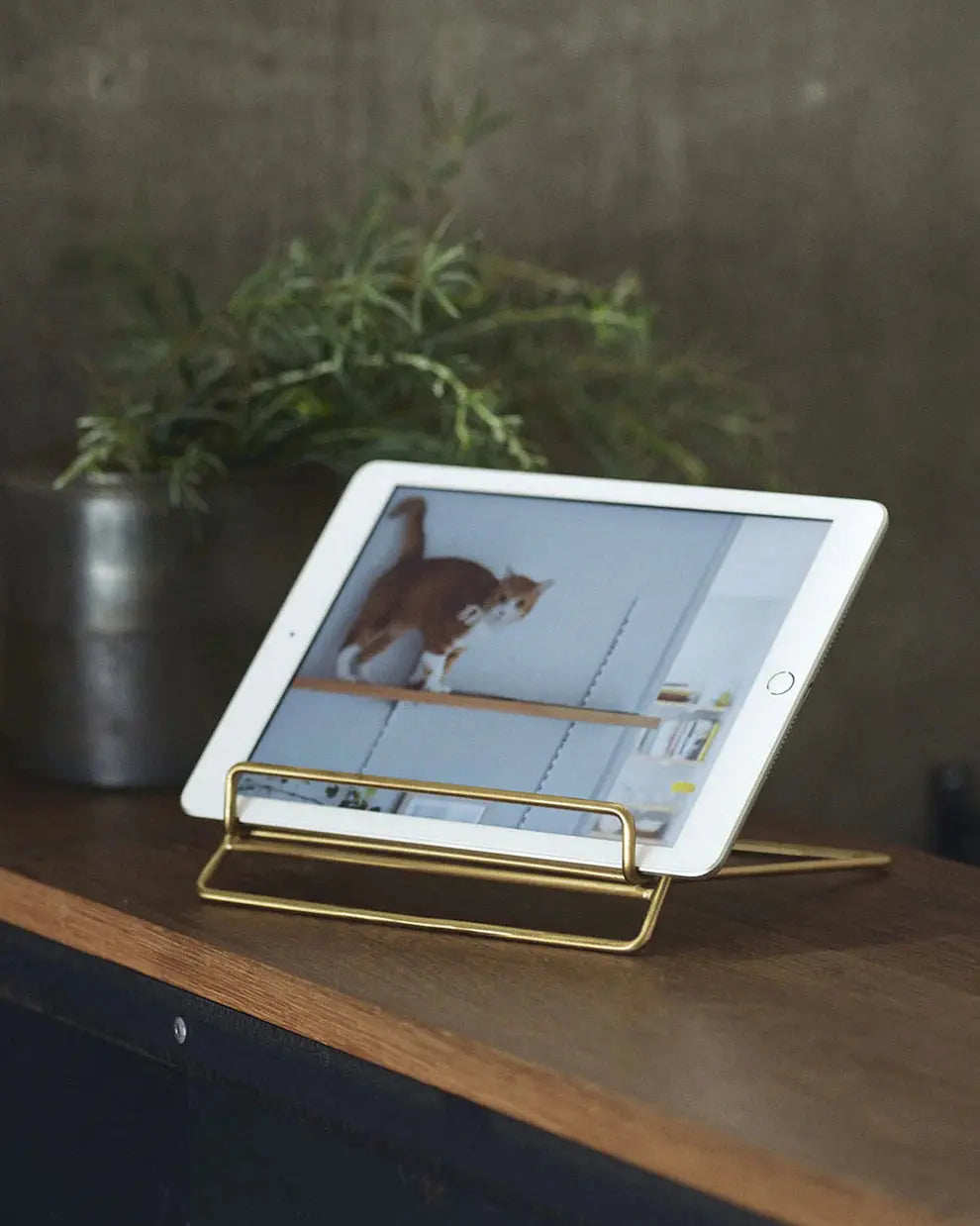 Brass Book Stand Fog Linen