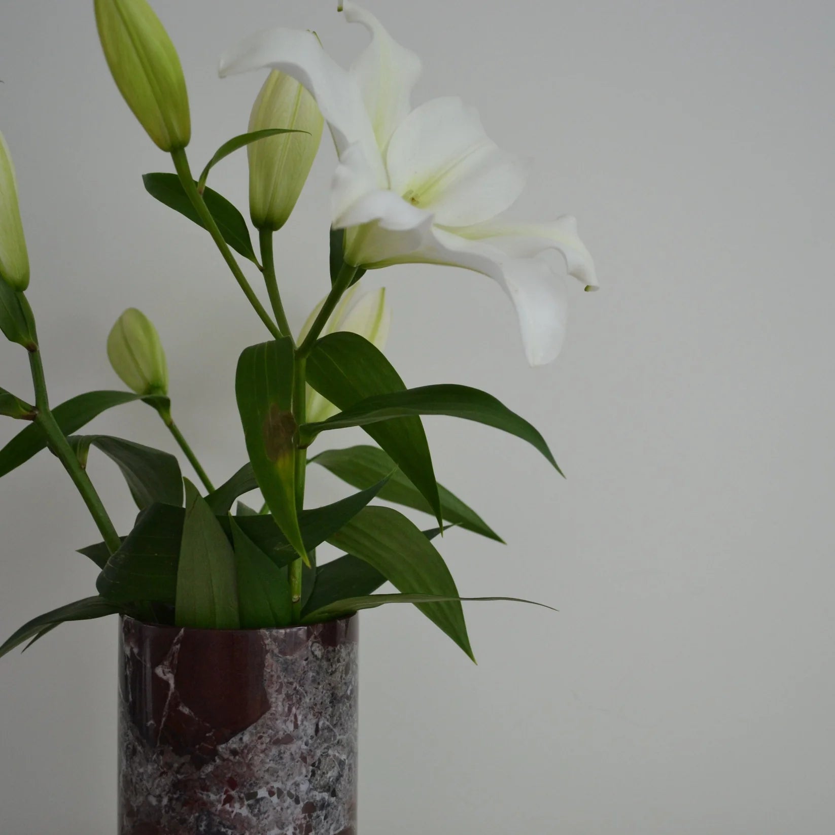 Bloom Vase | Rosso