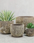 Lava Deep Bowl Planter Hawthorne Group