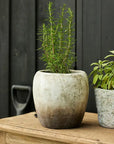 Marron Planter Vase French Country Collections