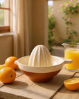 Porto Terracotta Ribbed Juicer | Stone