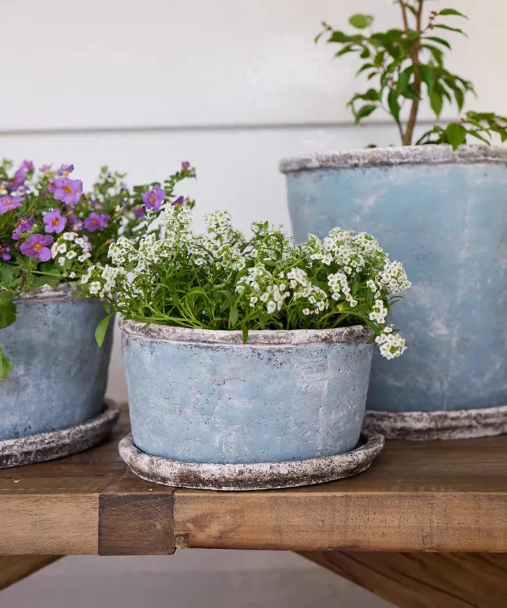 Sea Blue Plant Pot French Country Collections