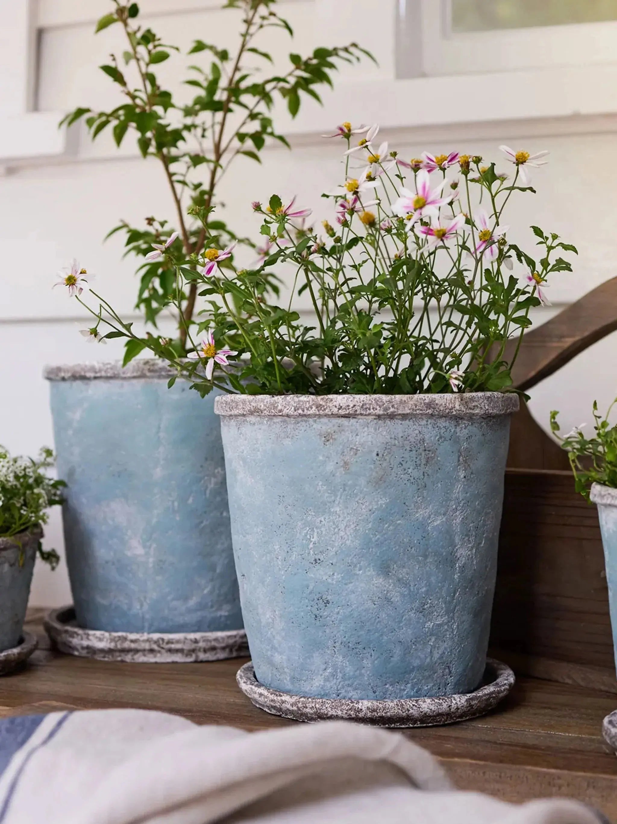 Sea Blue Plant Pot French Country Collections