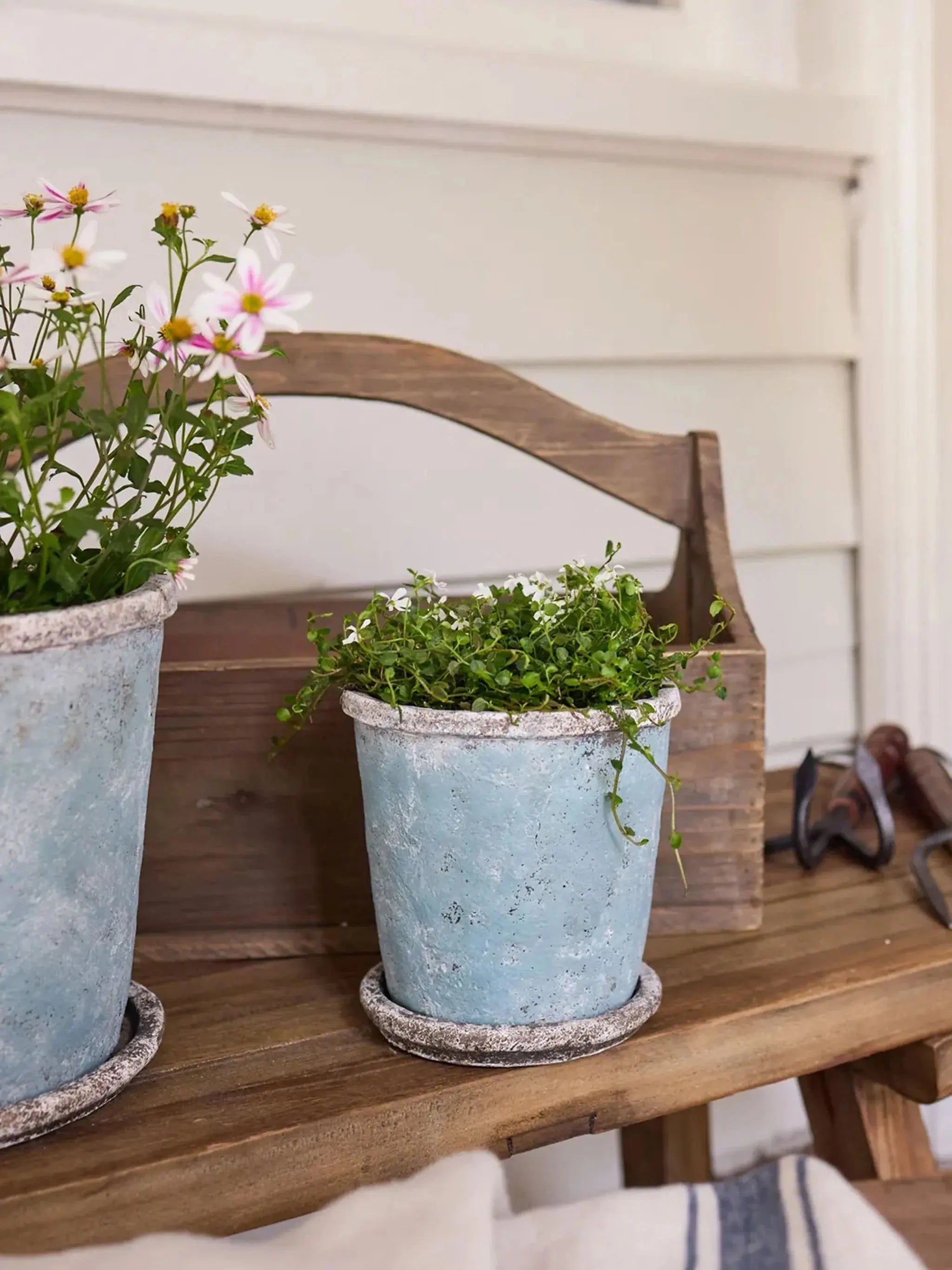 Sea Blue Plant Pot French Country Collections