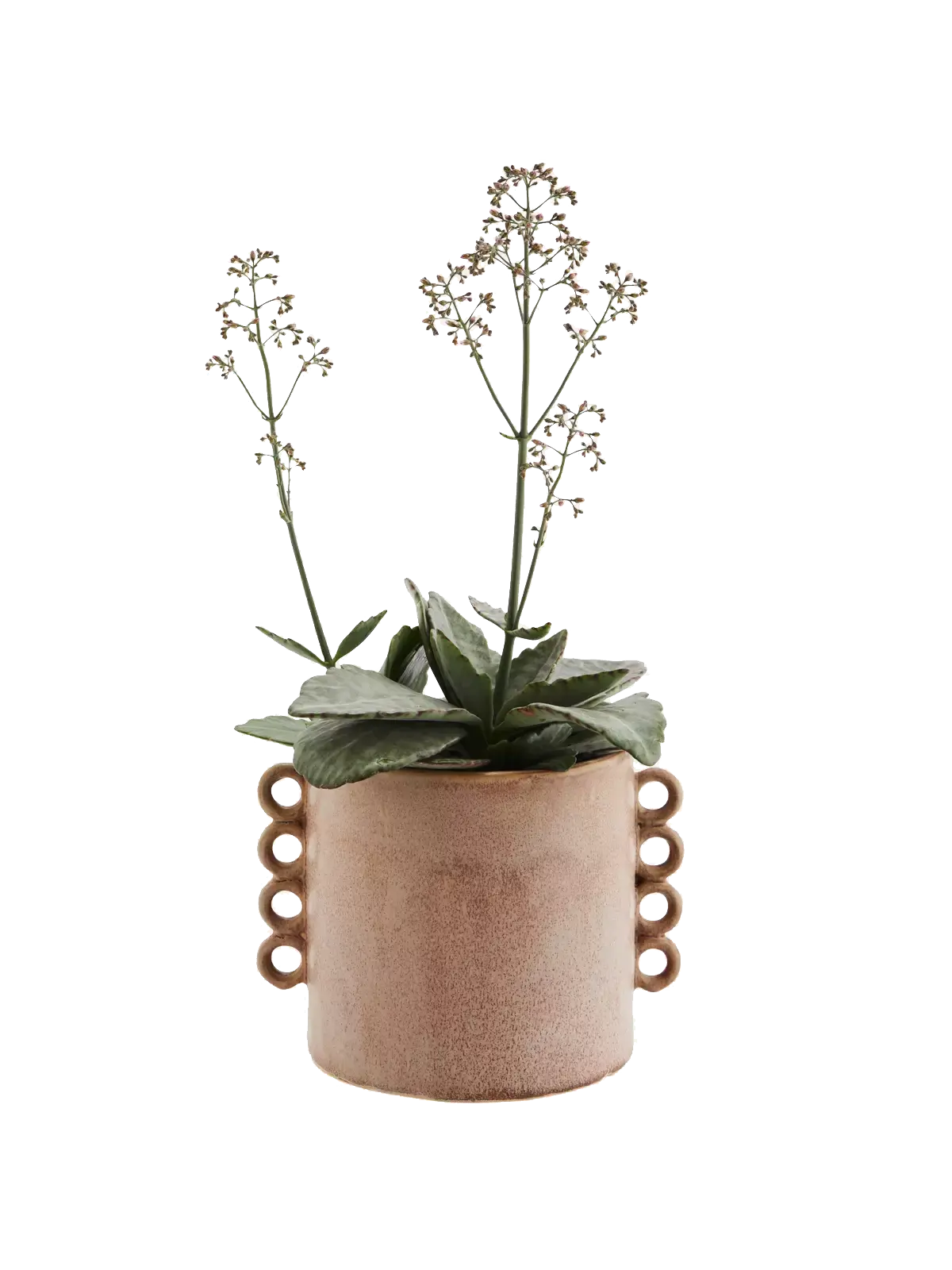 Stoneware Flower Pot w/rRuffles Wooden Horse