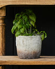 Marron Planter Pot