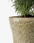 Celadon Herb Planter