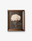 Hydrangea Wall Art