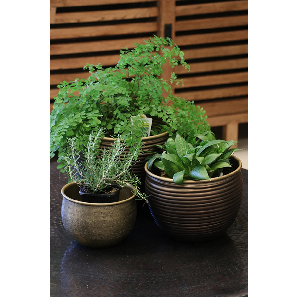 Egyptian Style Urns
