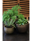 Egyptian Style Urns