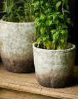Marron Planter Pot